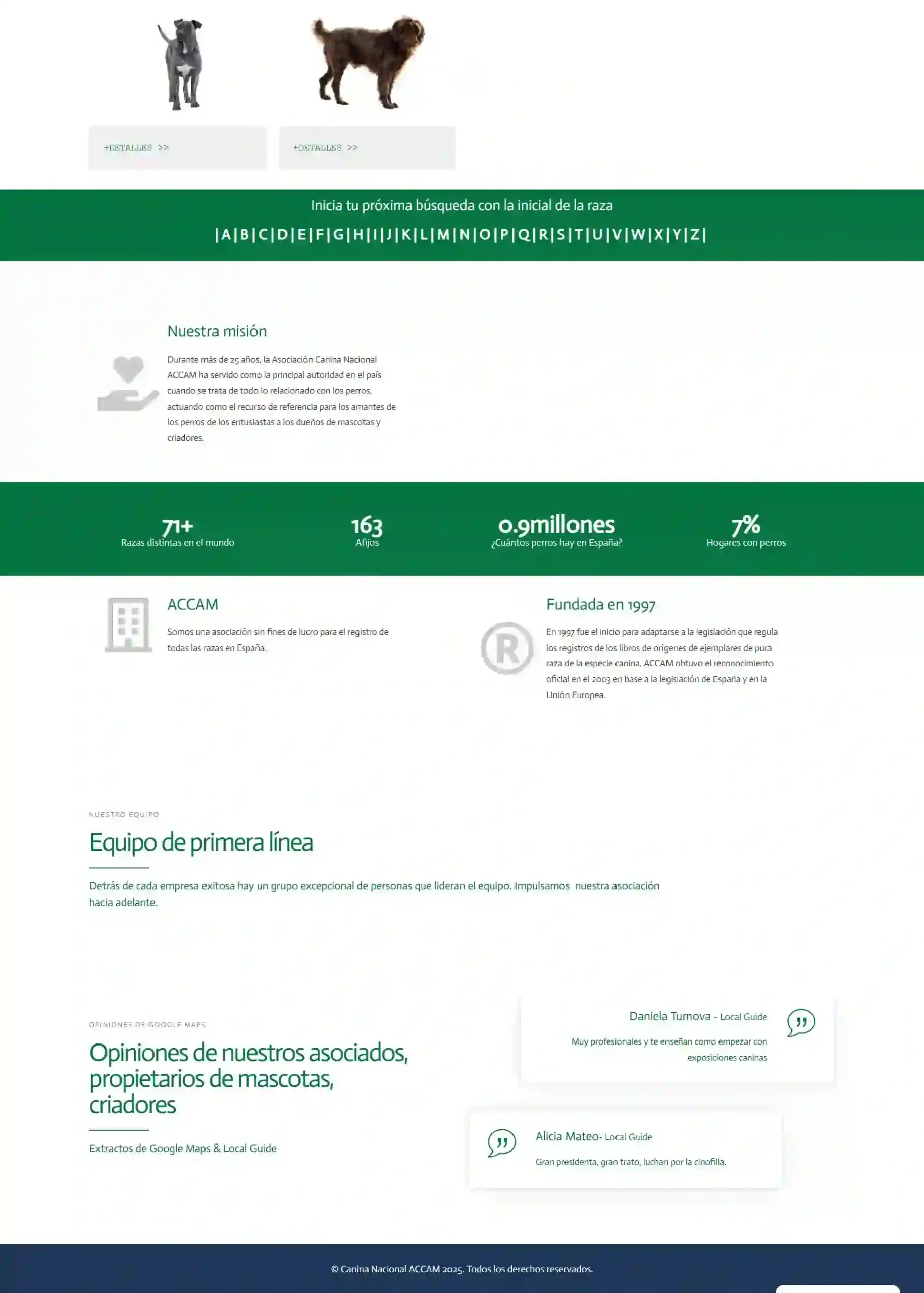 Diseño de páginas web | Diseño web profesional con Marking Avatar - Agencia de Marketing
