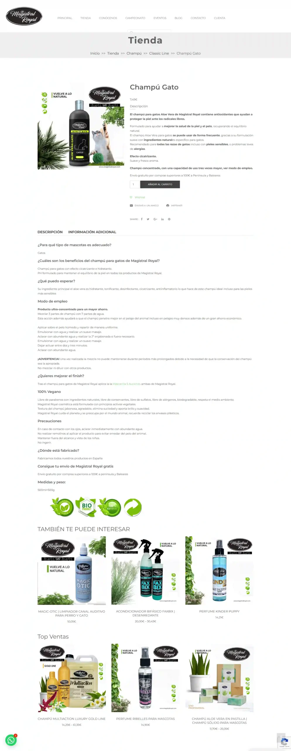 somos una agencia de diseño web - tiendas onlie, UI y UX. Creamos webs para que las empresas transformen las visitas en clientes.