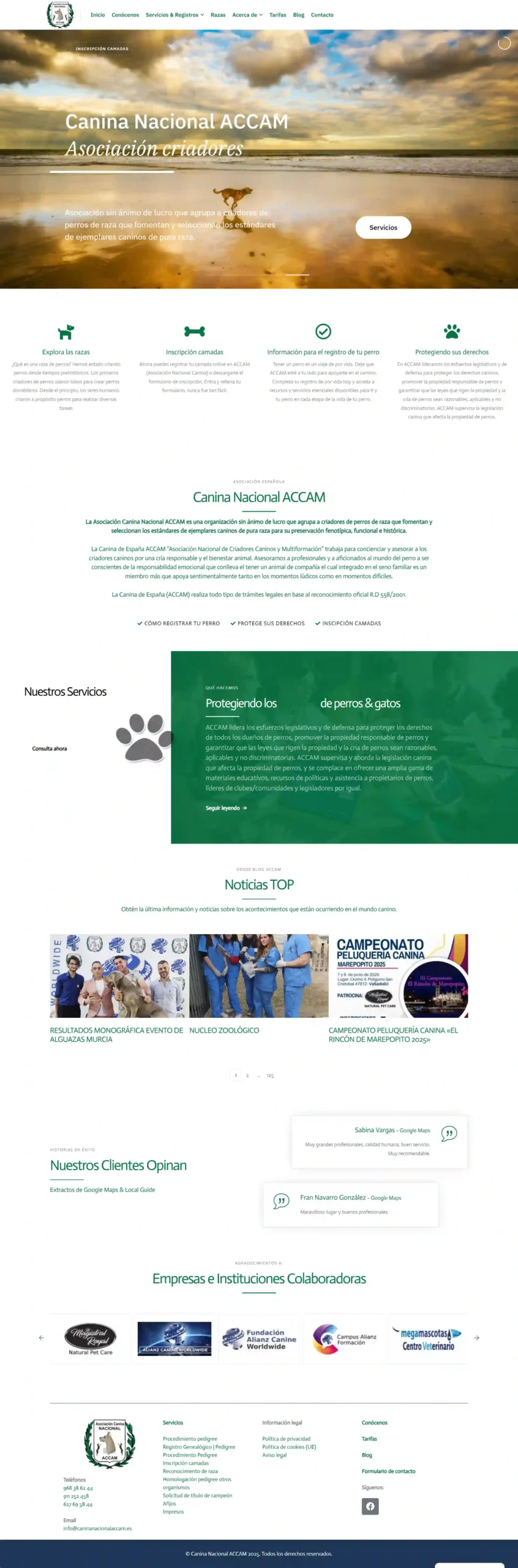 Páginas web personalizables con todo lo que necesitas para crecer online.