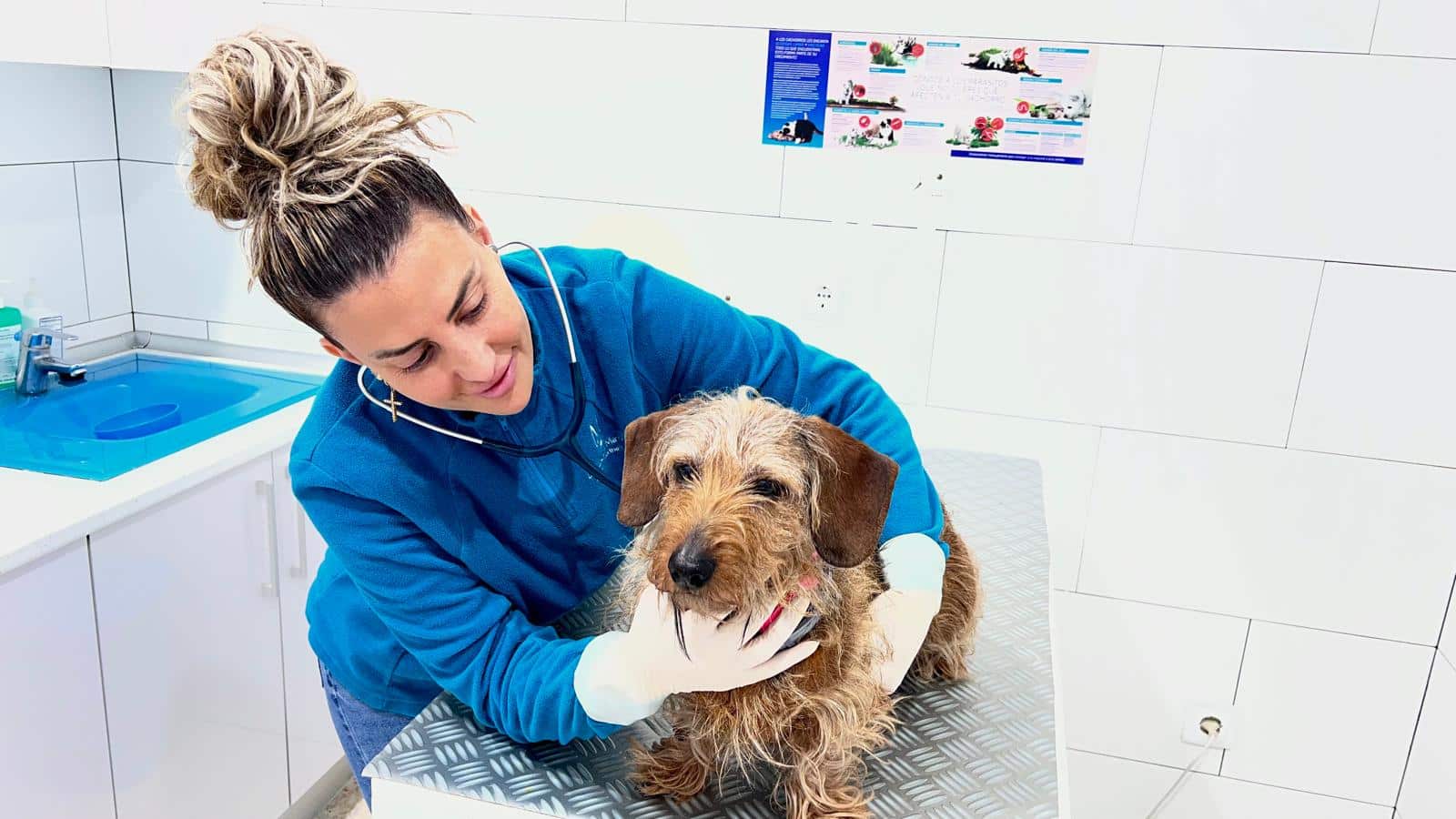 Equipo veterinario